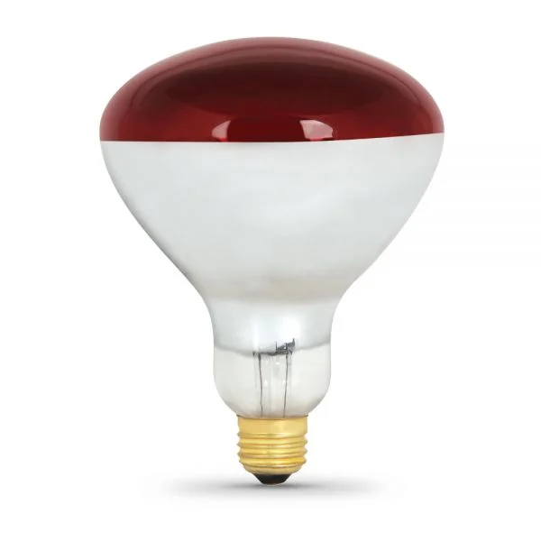 Feit Electric 250R40/R Dimmable R40 Flood Heat Lamp Red 250W 120V 2700K for Reptiles & Plants
