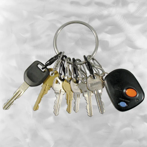 Nite Ize BRG-M1-R3 BigRing Key Holder Stainless Steel Key Organizer