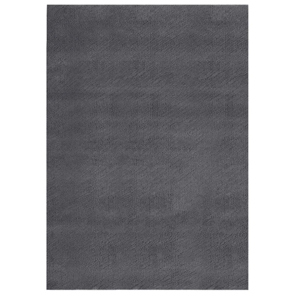 Shaggy Rug Anthracite 7x9 Feet Polyester Soft Living Room Carpet