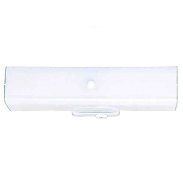 Westinghouse 66403 2-Light Interior Wall Fixture with Ground Convenience Outlet for Versatile Use